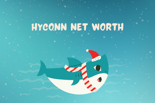 Hyconn Net Worth
